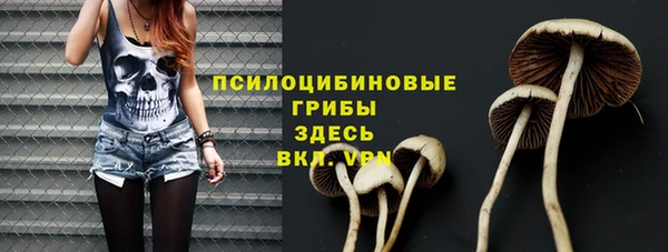 амф Заволжье