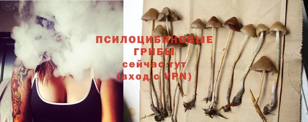 амф Заволжье