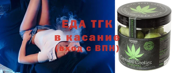 гидра Заводоуковск
