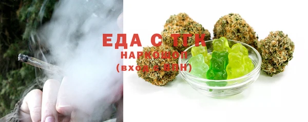 гидра Заводоуковск