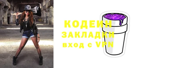 гидра Заводоуковск