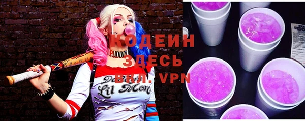 гидра Заводоуковск