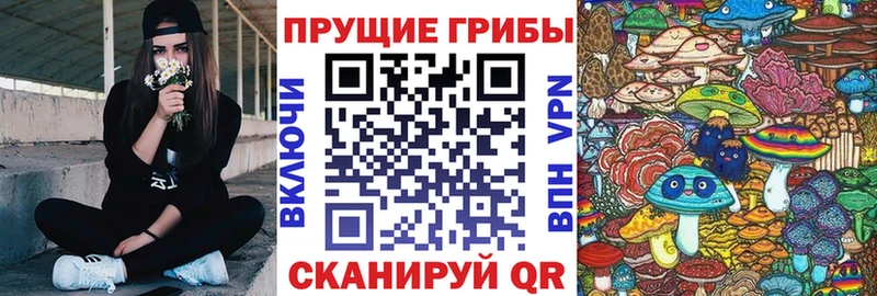 Купить где Ефремов Галлюциногенные грибы мицелий